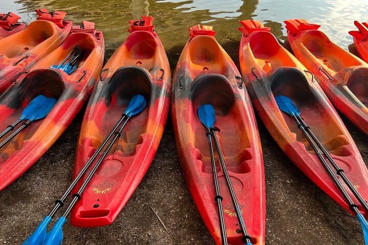 Downtown Austin Sunset Kayak Tour with 1.5 Million Bats hlzkV9wc