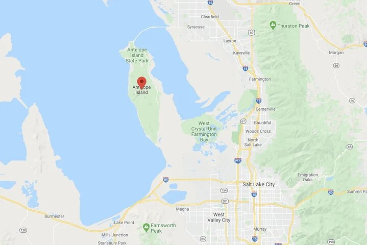 Private Wildlife and Scenic tour on Antelope Island 0mg9E6Bj