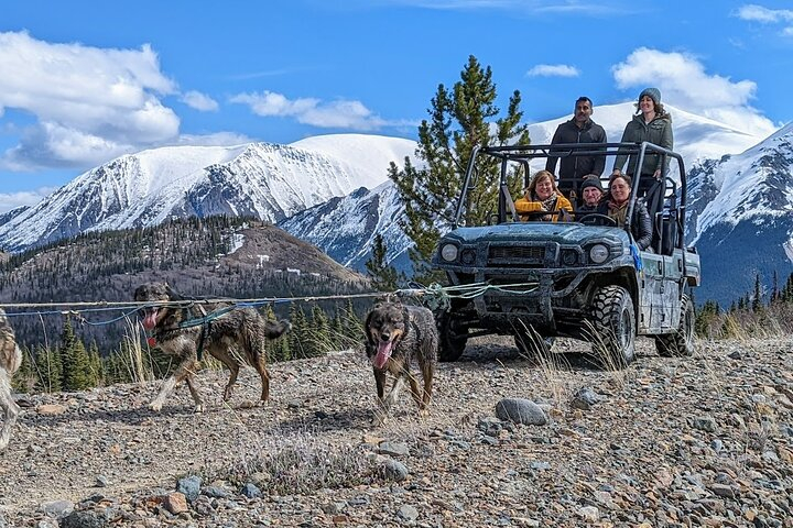 Summer Sled Dog Remote Yukon Camp & Summit Tour ywEzzGXn
