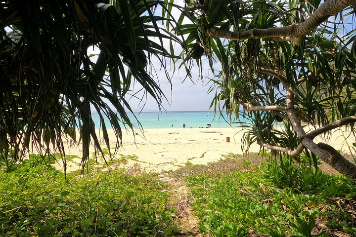 Okinawa's Gorgeous Beach & Snorkel Tour: Private & Customised  9sGQ7pQs