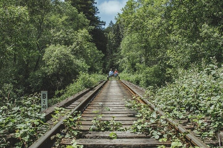 Redwoods Railbike Along Pudding Creek 7zLAxltZ