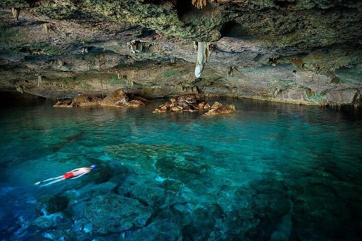 Get Ticket Dolphin, Sea Cave & Captain Cook Snorkel Combo in Kealakekua ...