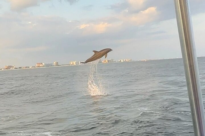 Sandestin Sunset Eco-Dolphin Cruise Aboard Sol y Luna HfYKMic8