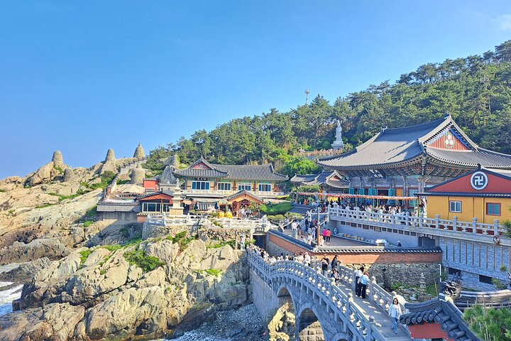 Busan Tailored Tour 7PjmAgKO
