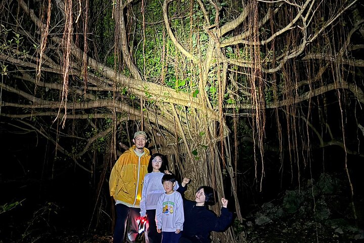 Okinawa Miyako Jungle&Starry Sky tour Free Pick up and Drop off KcaRj3H6