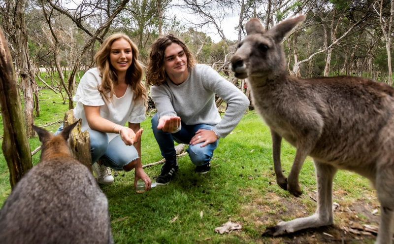 Moonlit Sanctuary Wildlife Conservation Park Ticket meOWrBFE