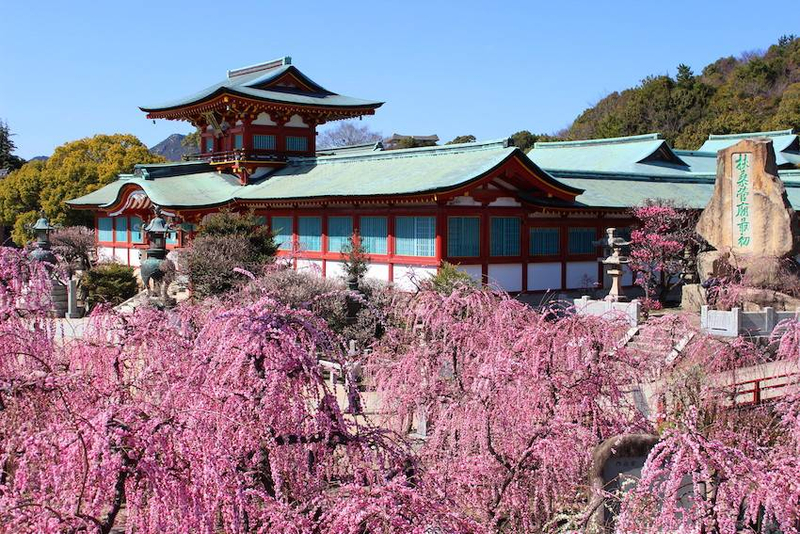 Yamaguchi Hofu Tourist Spots Pass oyRqHiH1