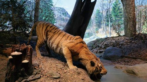 National Museum of Natural Science HXZNbRNk
