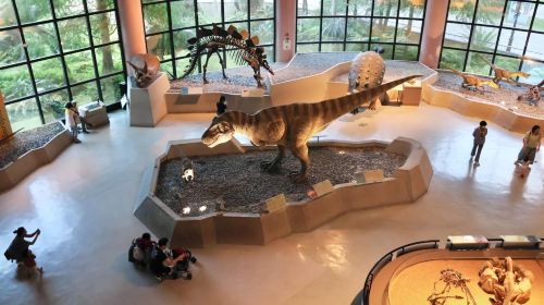 Botanical Garden of National Museum of Nature Science 8KSSpdj3