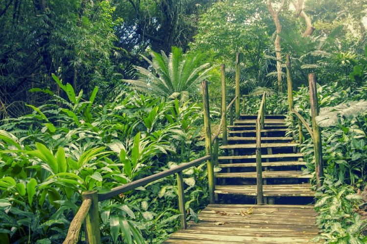 Best Of Nadi Sightseeing Tour IhlpZwIX