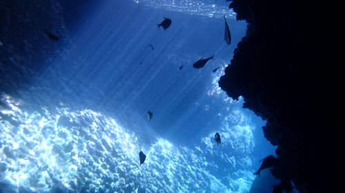 2-hour diving and snorkeling experience in Green Island, Taitung [Green Island Blue Cave Secret Spot / Sleeping Beauty Ancient Trail + Immortal Stacked Rocks Snorkeling] ldG4PLd1