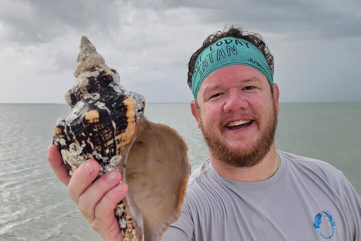 Naples Keewaydin Shelling Dolphin and Beach Tours s9jJj4OG