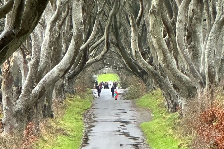 Giant's Causeway Tour from Belfast in Spanish N5B98Kk3