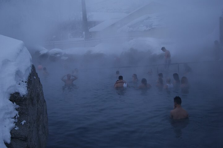 Private Tour for Chena Hot Springs (Free Photo) from Fairbanks HCsypPvp