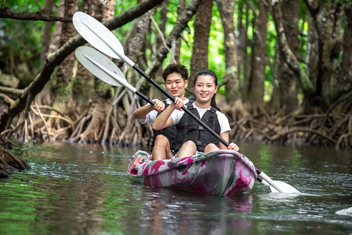 Ishigaki Mangrove Canoe / SUP & Taketomi Island Exploration QejDoIEJ