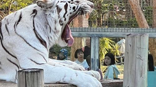 Kaohsiung City Shou Shan Zoo xstoeW6A