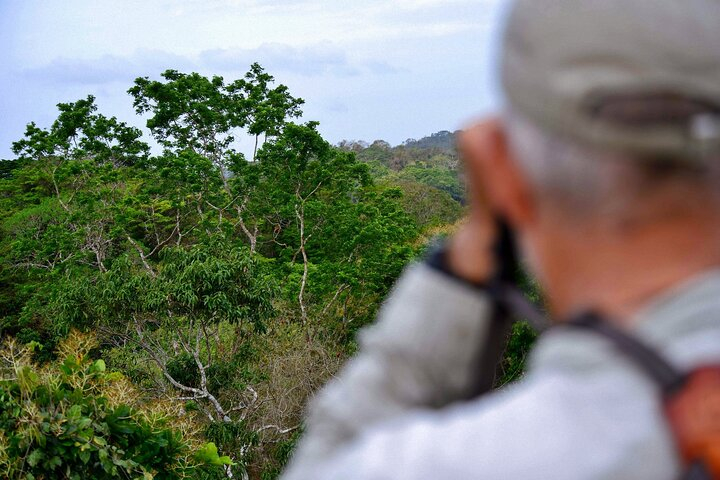 Sandakan Private City Tour, Orangutan, Sun Bears and Rainforest npyqBnyi