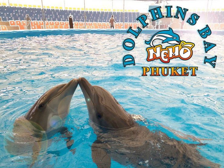 Dolphins Bay Phuket YVrIwd34