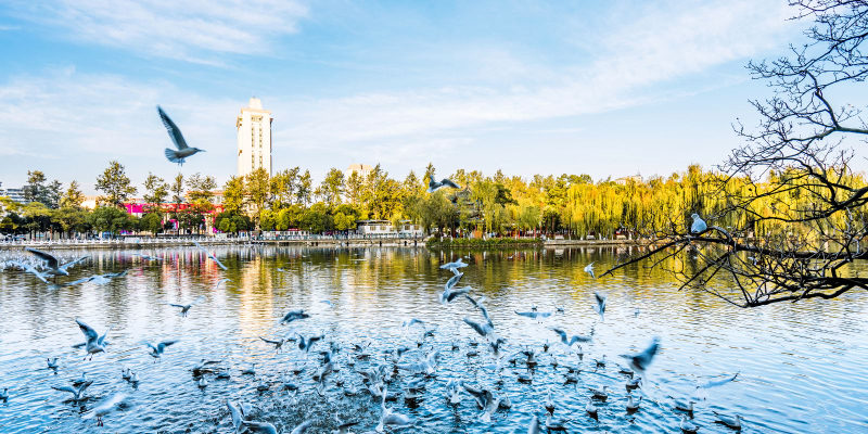 [Private Group] Yunnan Kunming Dali Lijiang Relaxing 8-Day Tour Jy7FPrAo