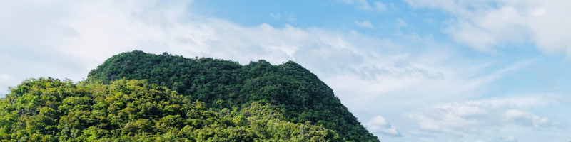 Private Jetcar Mangrove Tuba Tour in Langkawi  cZZFJw3N