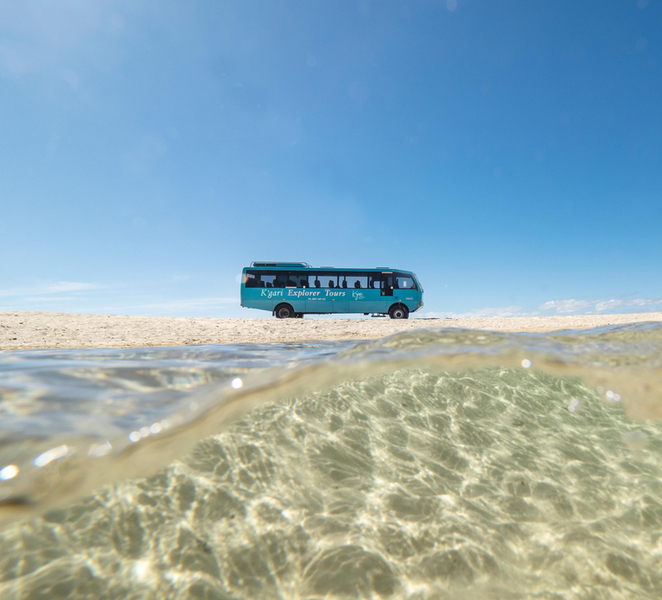 From Hervey Bay: K'gari, Fraser Island Full-Day Coach Tour tjoUKZRP