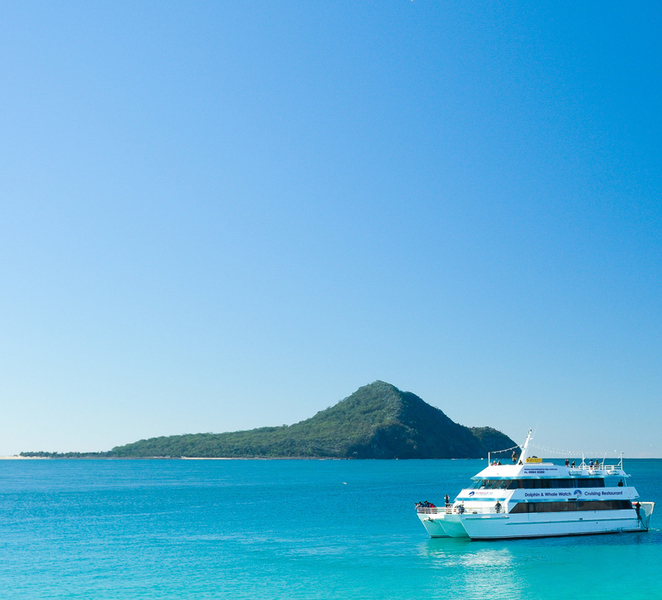 Port Stephens: Dolphin Watching Cruise On8G471P