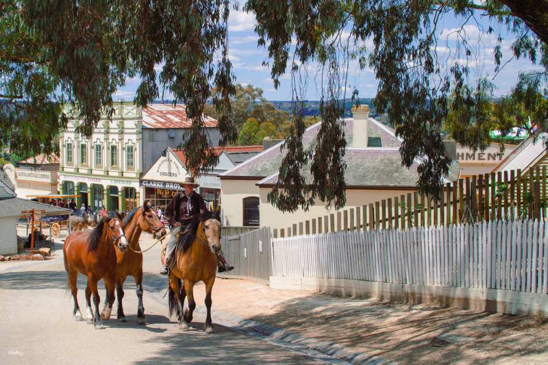 Sovereign Hill Entry Ticket rALi56n3