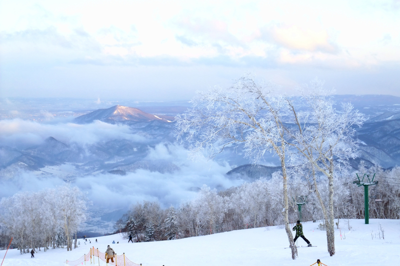 Sapporo Kokusai Ski Resort Ski & Snowboard Lesson k5Hokcvb