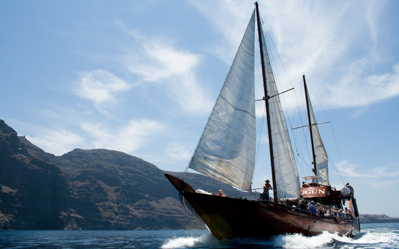 Los Gigantes whale watching cruise tour with lunch 1f23Fte9