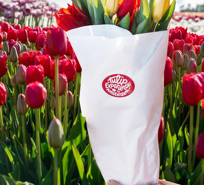 Warmond: Kagerplassen Cruise with "Tulip Experience" Ticket eanhlb51