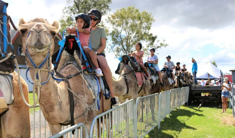 Summer Land Camel Trail Ride - 40 Minutes uYxq0vgC