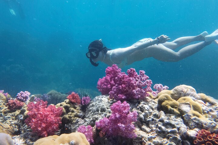 Snorkeling + Free Underwater Photos by Longtail Boat – Koh Lipe A Bnl7qw5U