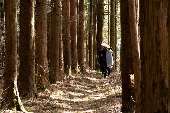 Usui Pass Edo Era Walk 7DeYYtEu