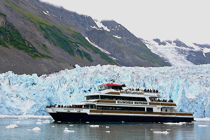 Prince William Sound 26 Glacier Cruise, Self-Drive j2NwBagG