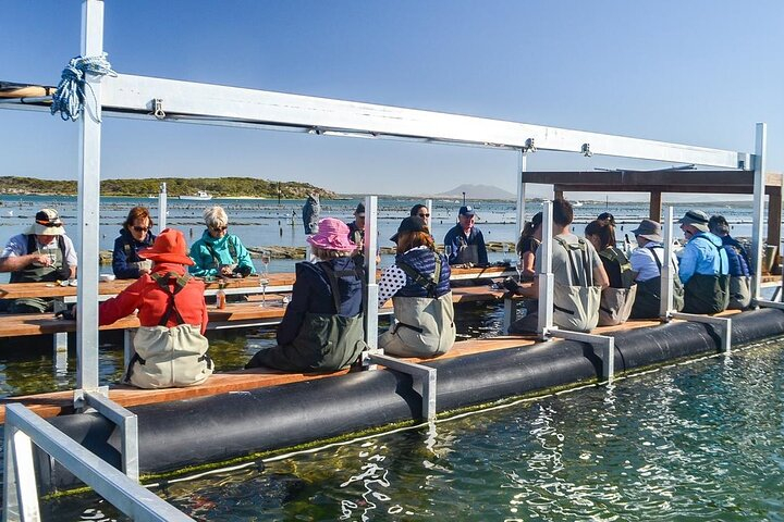 Oyster Farm Tour with Hotel Pick-up and return from Port Lincoln PynZIGEB