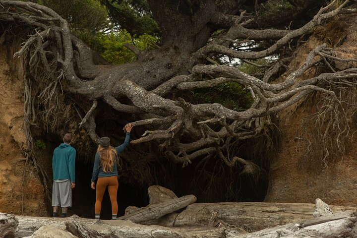 Olympic Full Day Small Group Tour & Hike Gx98A9Ai