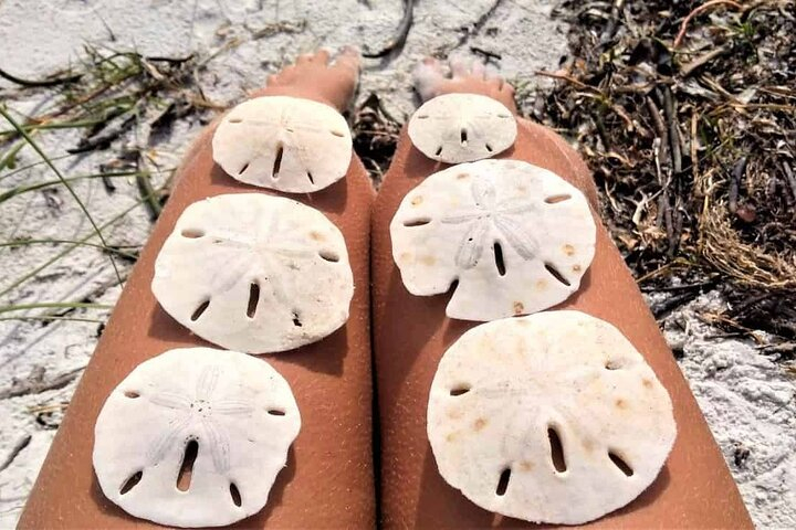 Island Hopping and Snorkeling Trip Pdjrdm2d