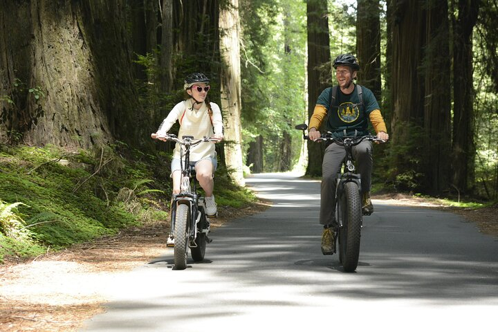 E-Bike Tour in the Avenue of the Giants Redwood Forests - 4 Hours J3jMGa0U