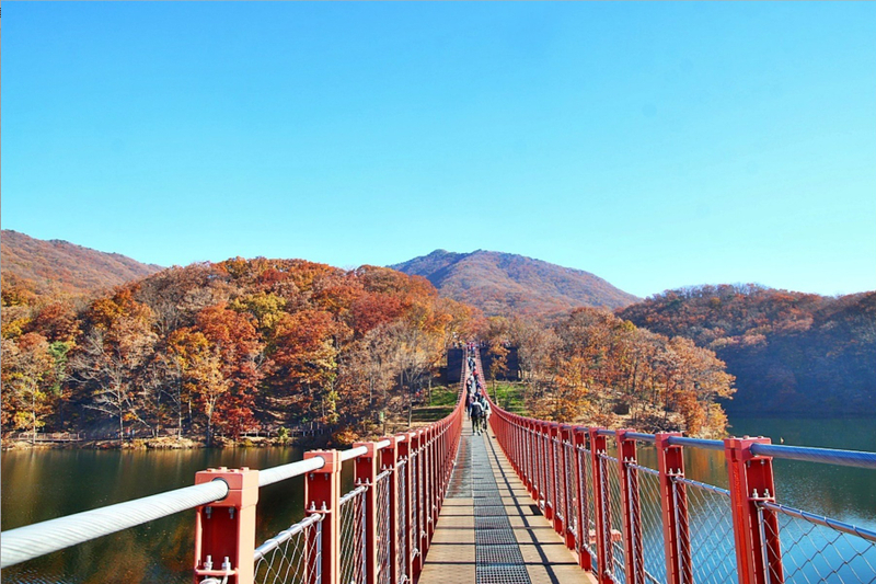 Seoul Tour | Autumn Flowers One Day Tour in Gyeonggi-do / Incheon sD4czKSU