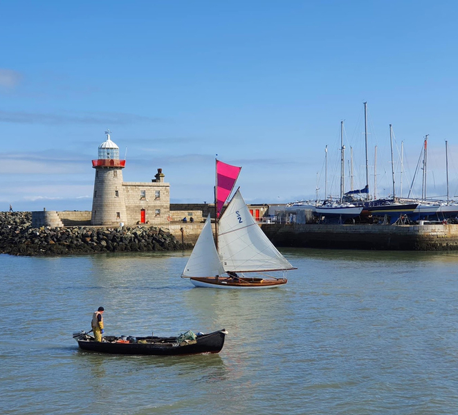 From Dublin: Half-Day Guided Coastal Tour to Howth Village mZgMfx4l