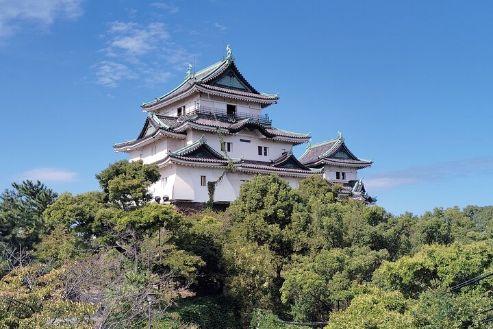 Wakayama: The Tokugawa Castle That Guarded the Southern Coast j8yRrCh9