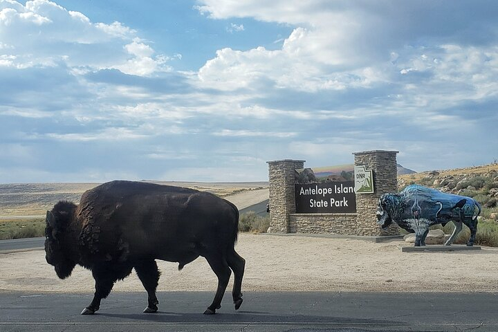 Private Antelope Island State Park Tour lNCeVKpn