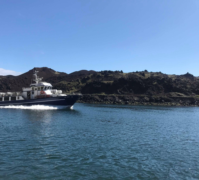 Vestmannaeyjar: Heimaey Island Round Boat Tour LDyjTaHp
