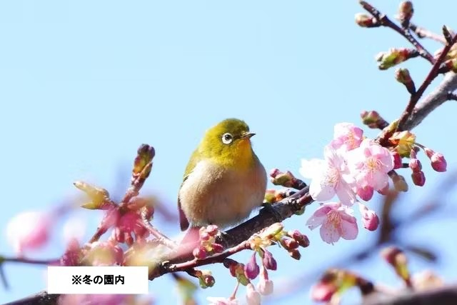 Yokohama English Garden FxZzs0Gb