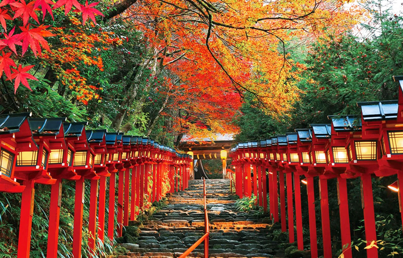 Ohara Sanzen-in Temple, Kifune Shrine, and Arashiyama Small Group Day Tour r5j4gEGf
