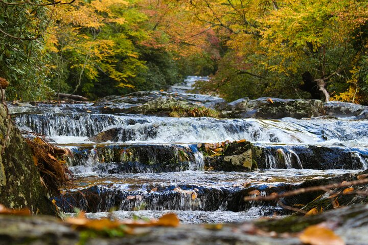 Great Smoky Mountains Self-Guided Scenic Drive and Audio Tour i3eAGUrg