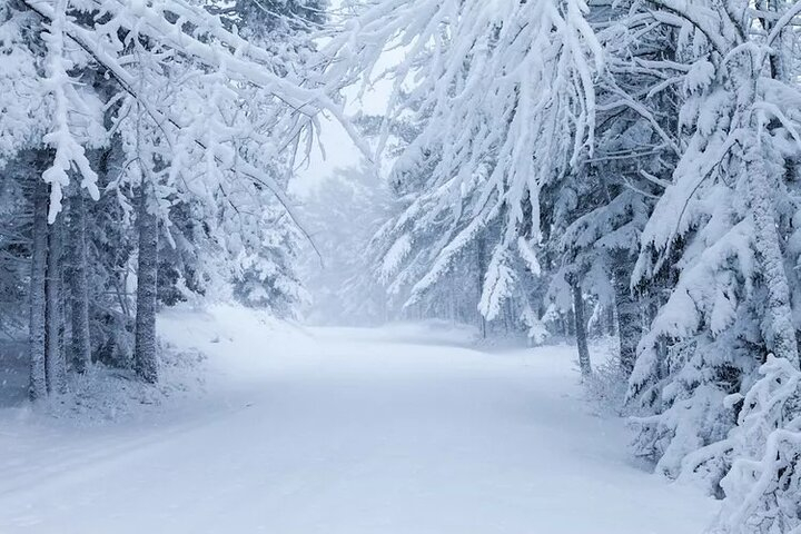 Acadia National Park Winter Wonderland Private Driving Tour drSnxU1C