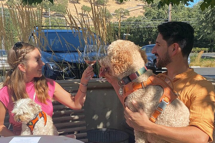 Dog Friendly Wine Tour in Private Luxury SUV HAeCV6ET