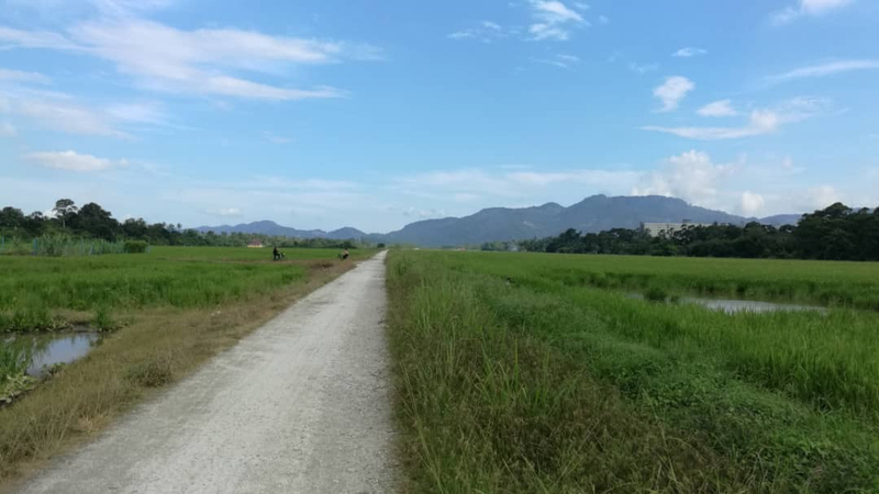 Countryside ATV Ride in Penang Balik Pulau 0YsxxD1e