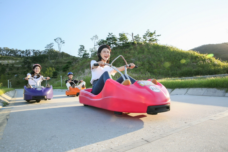 Ganghwa Luge + Aegibong + K-Food Experience Tour J9vMdjhV